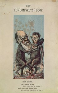 Cartoon of Darwin with an Ape, from The London Sketch Book, April 1874 by English School